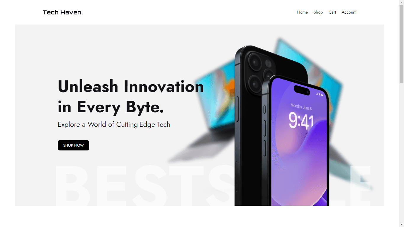 An image of the eCommerce project.